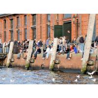 2732_9126 BesucherInnen des Hamburger Fischmarkts sitzen in der Sonne auf der Kaimauer des Altonaer  | 